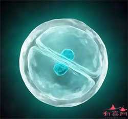 2023深圳代怀孕价格表，深圳做供卵代怀的医院排名？十万够吗？